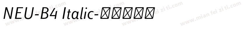 NEU-B4 Italic字体转换